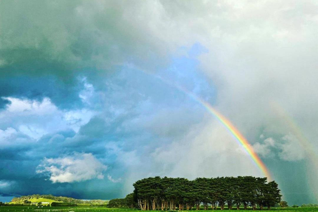 Photo of Others in Romsey