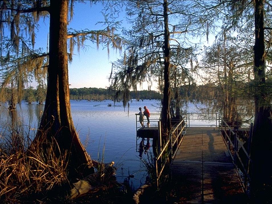Photo of Others in Saint Landry