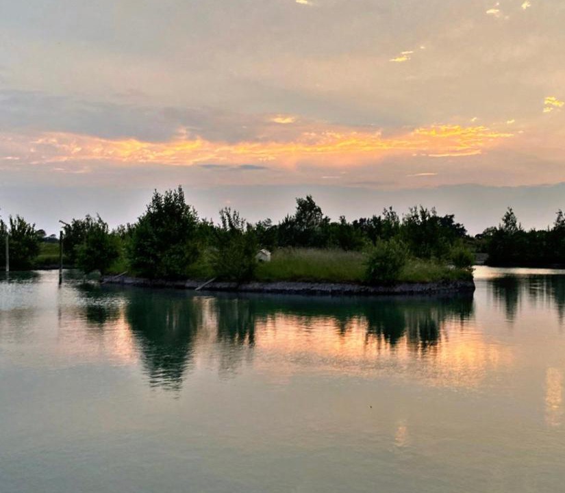 Photo of Others in Cambridge