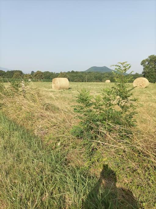 Photo of Outdoor in Estadens