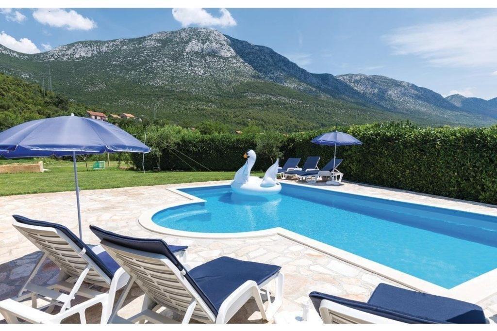 Photo of Others in Ploce