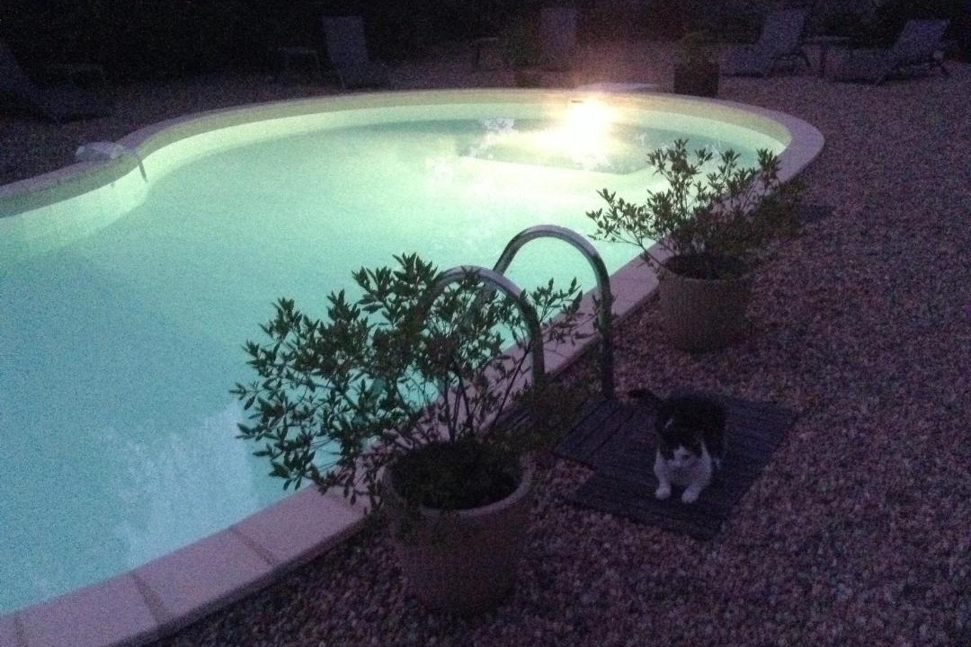 Photo of Others in Villalbe