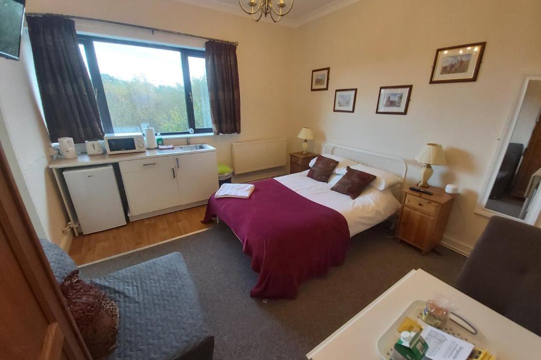 Photo of Others in Nelson