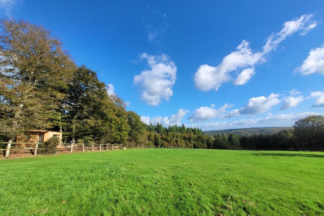 Photo of Others in Paimpont