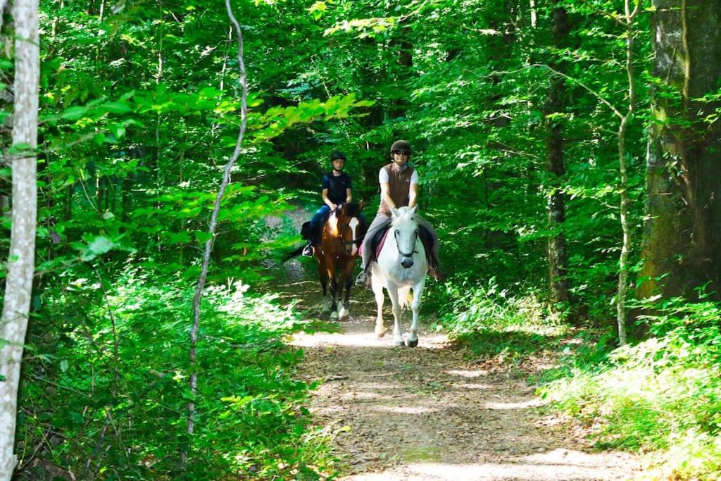 Photo of Others in Thurey-le-Mont