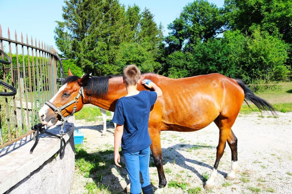 Photo of Human In Picture in Thurey-le-Mont