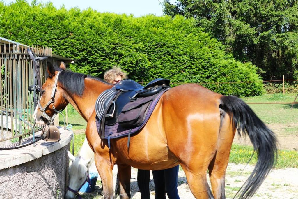 Photo of Human In Picture in Thurey-le-Mont