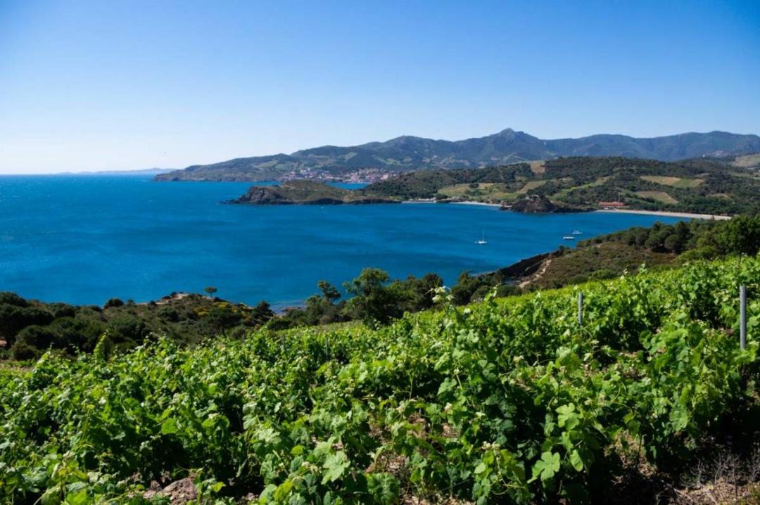 Photo of Outdoor in Canohes