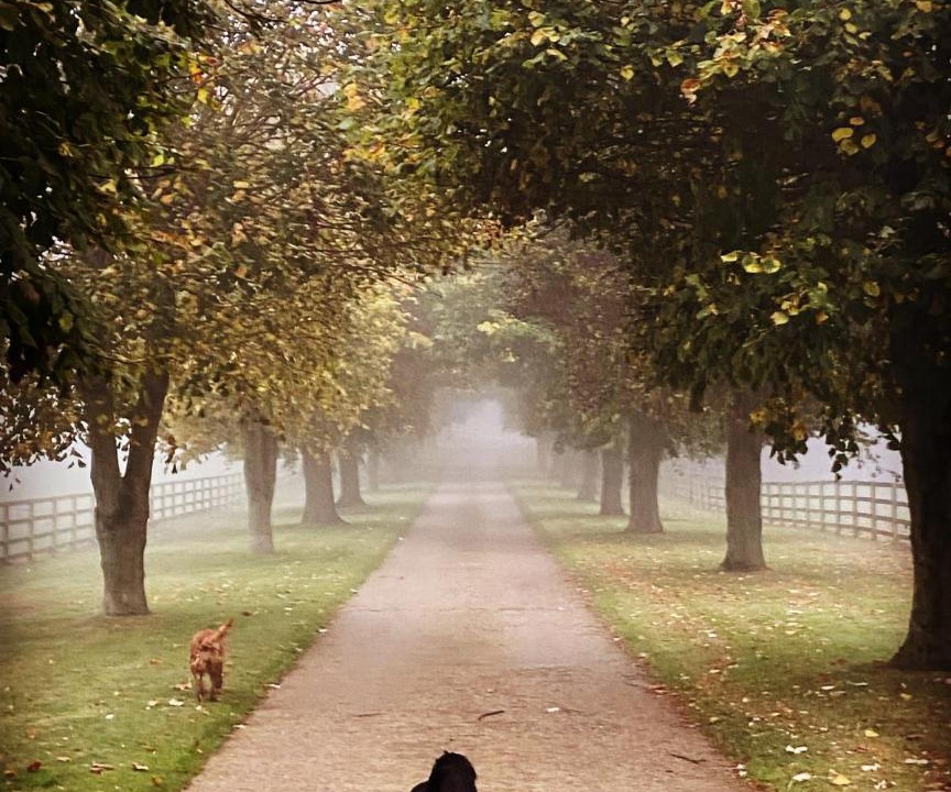 Photo of Others in Towcester