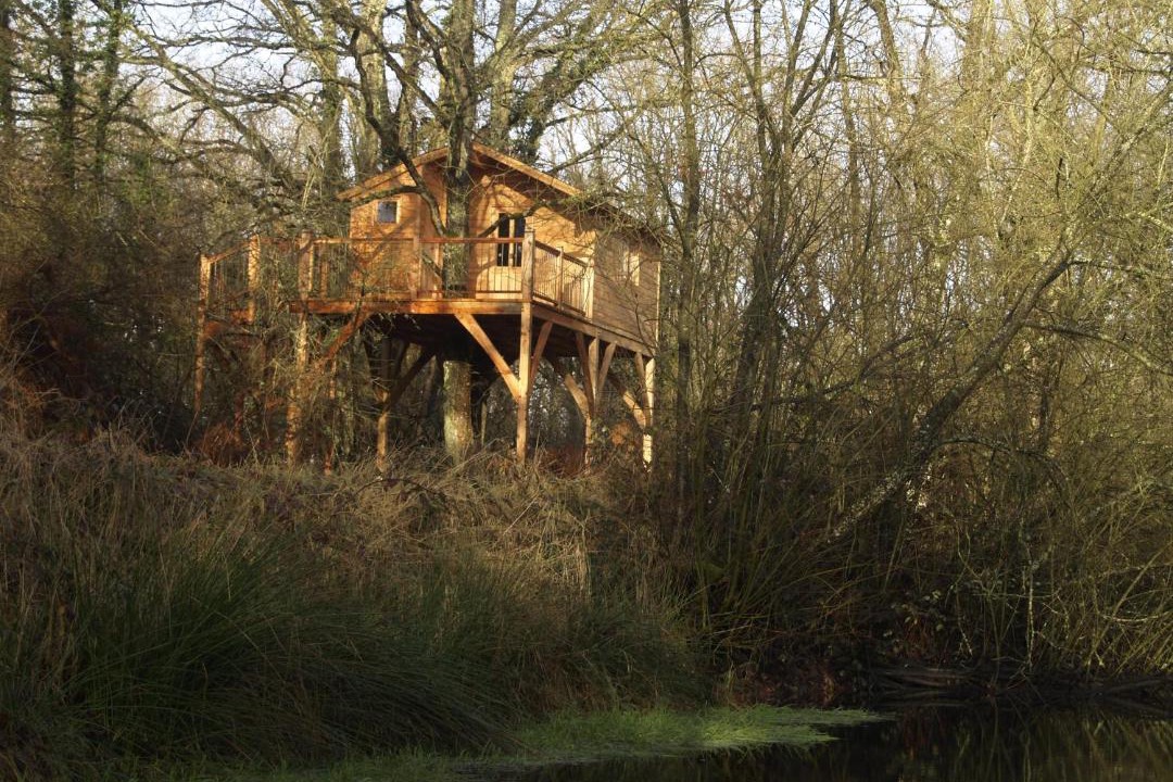 Photo of Outdoor in Gennes-Val-de-Loire