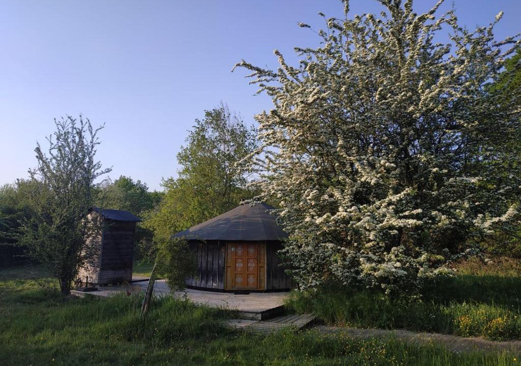 Photo of Others in Gennes-Val-de-Loire