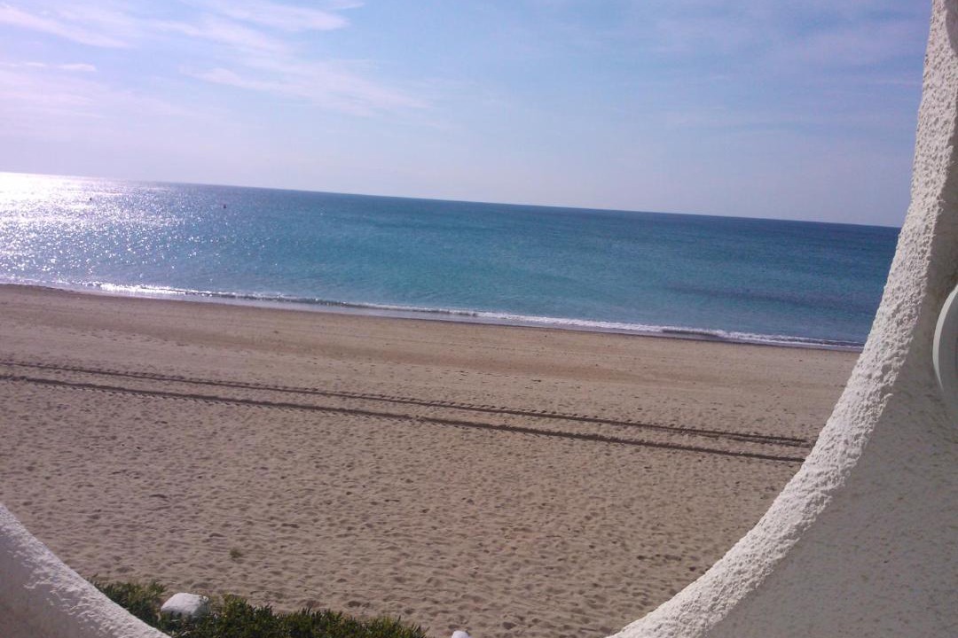 Photo of Others in Parc de Mont-roig