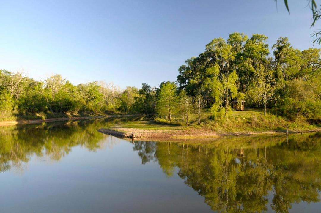 Photo of Outdoor in Texas Gulf Coast Region