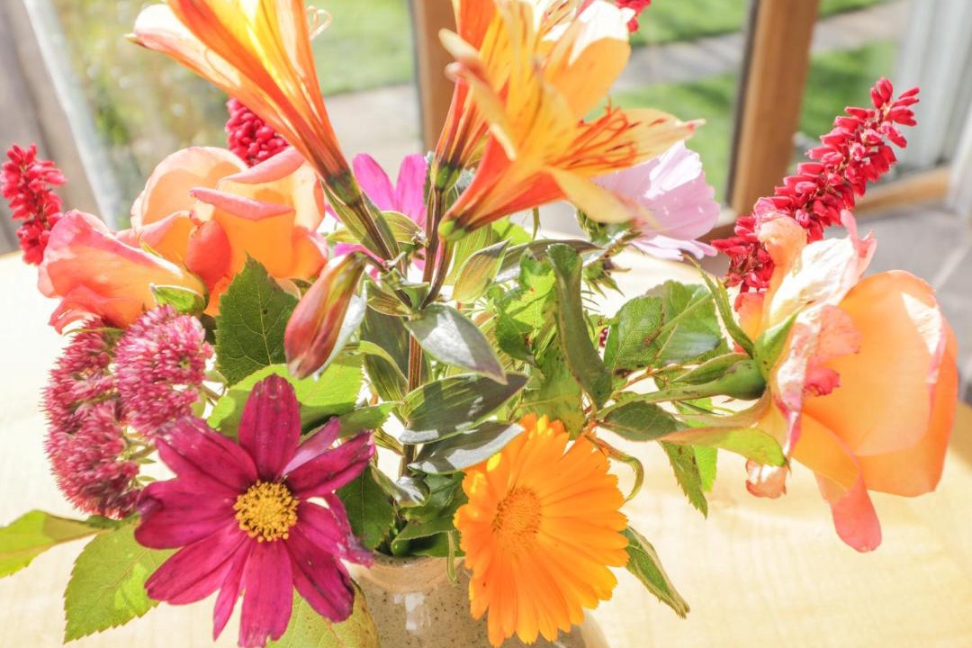 Photo of Others in Hereford