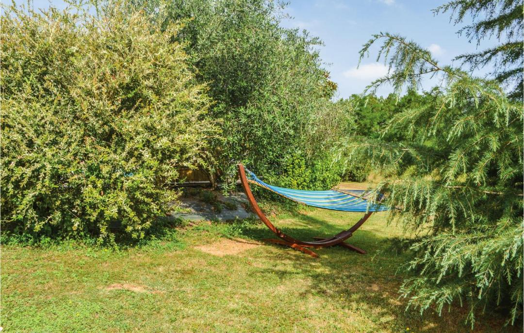 Photo of Outdoor in La Roche-Chalais
