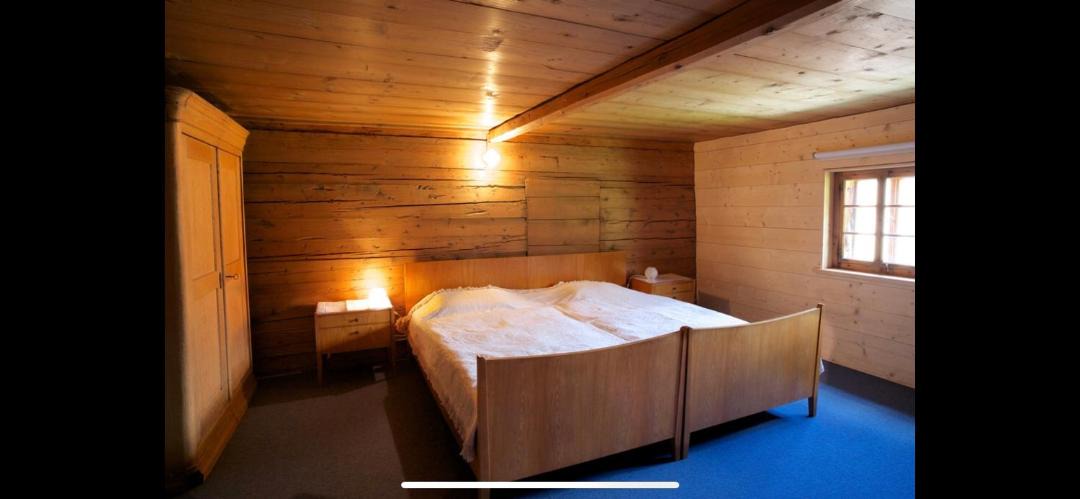 Photo of Bedroom in Tujetsch