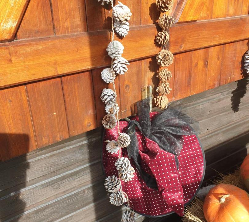 Photo of Livingroom in Vireux-Wallerand