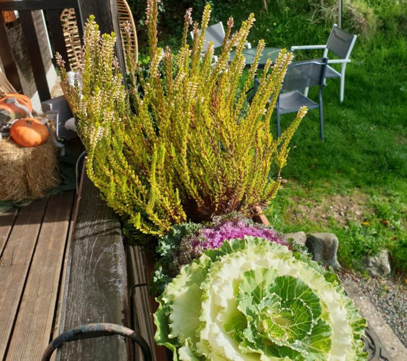 Photo of Others in Vireux-Wallerand