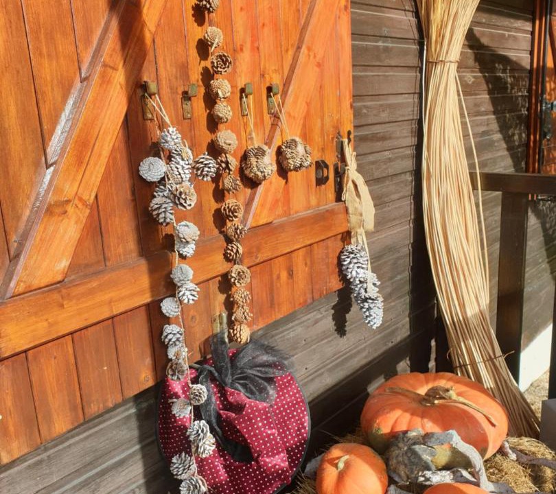 Photo of Others in Vireux-Wallerand