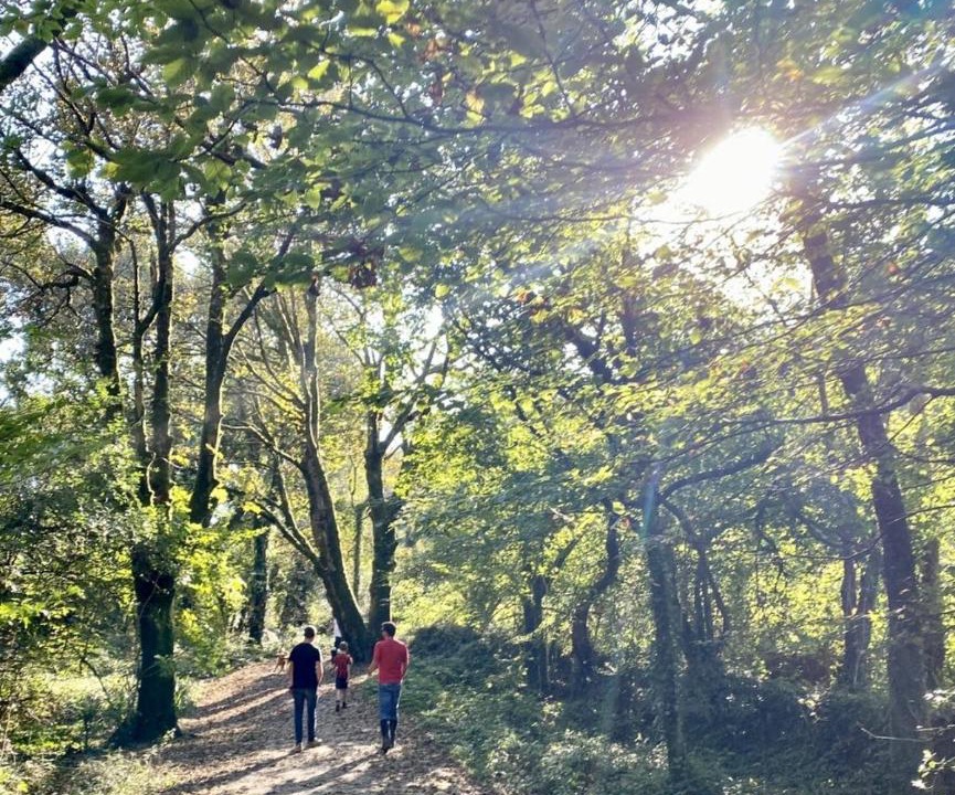 Photo of Outdoor in St Austell