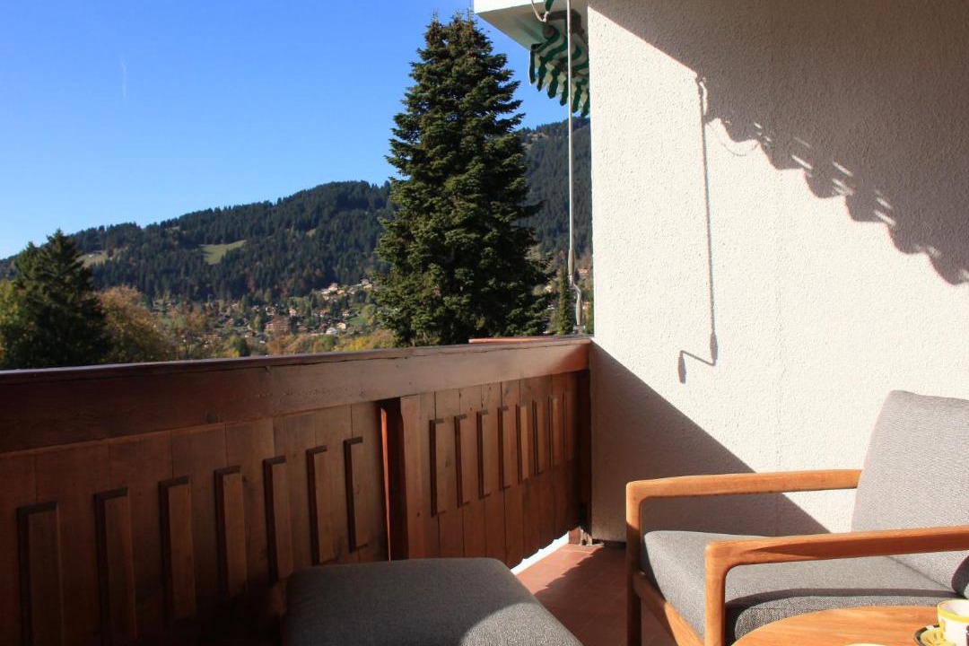 Photo of Others in Villars-sur-Ollon