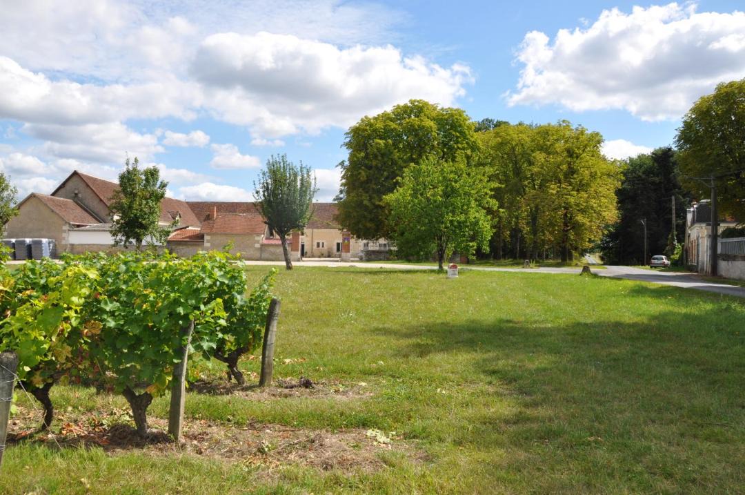 Photo of Others in Saint-Georges-sur-Cher