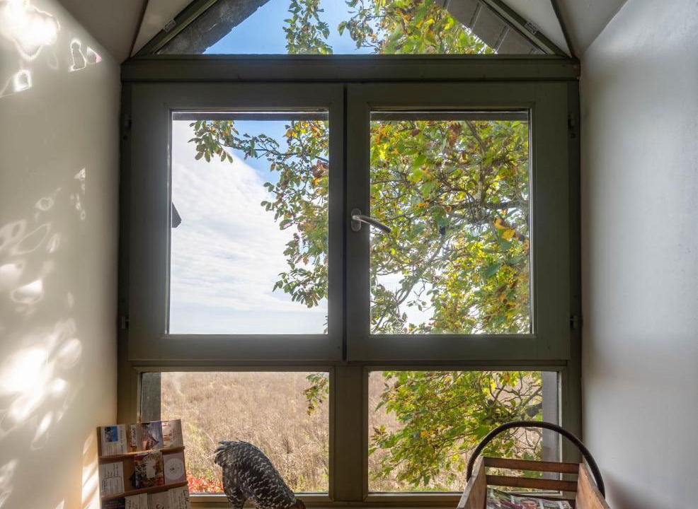 Photo of Others in Angles-sur-lAnglin