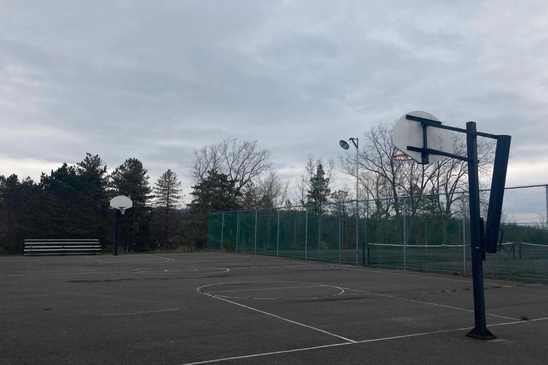 Photo of Others in Honeoye Falls