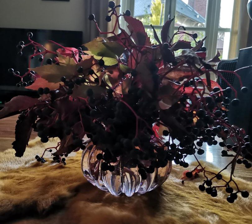 Photo of Others in Les Veneurs