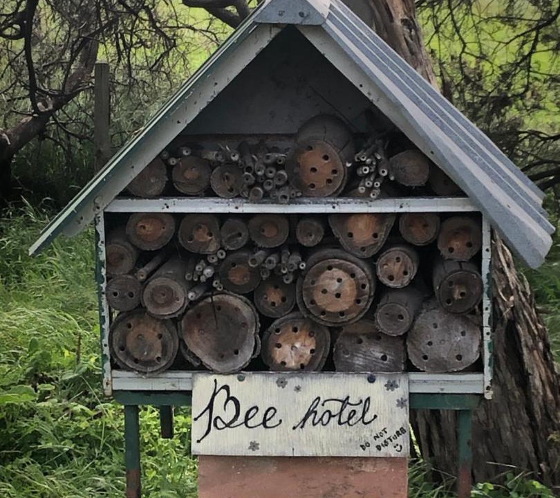 Photo of Others in Bethany