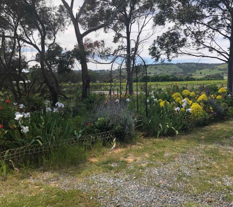 Photo of Others in Bethany