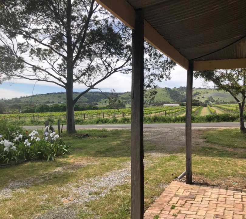 Photo of Others in Bethany