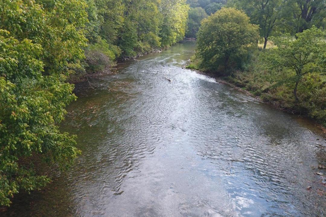 Photo of Others in Staunton
