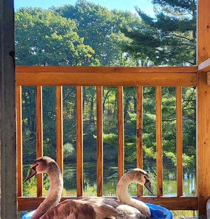 Photo of Others in Limekiln