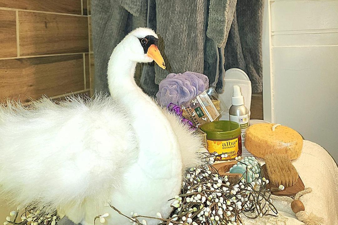 Photo of Others in Limekiln