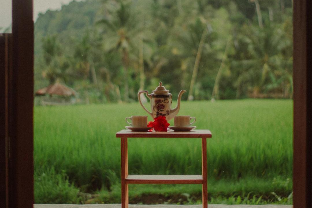 Photo of Others in Munduk
