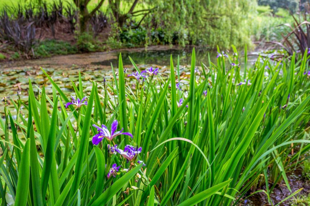 Photo of Others in Katikati
