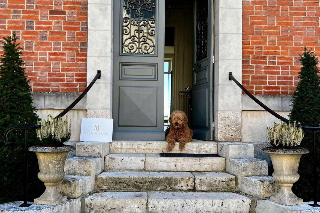 Photo of Others in Blois