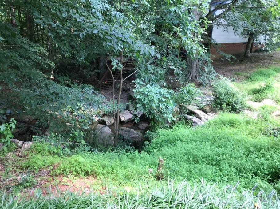 Photo of Others in North Raleigh