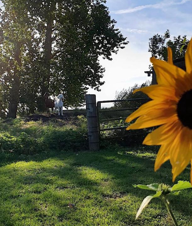 Photo of Outdoor in Rude