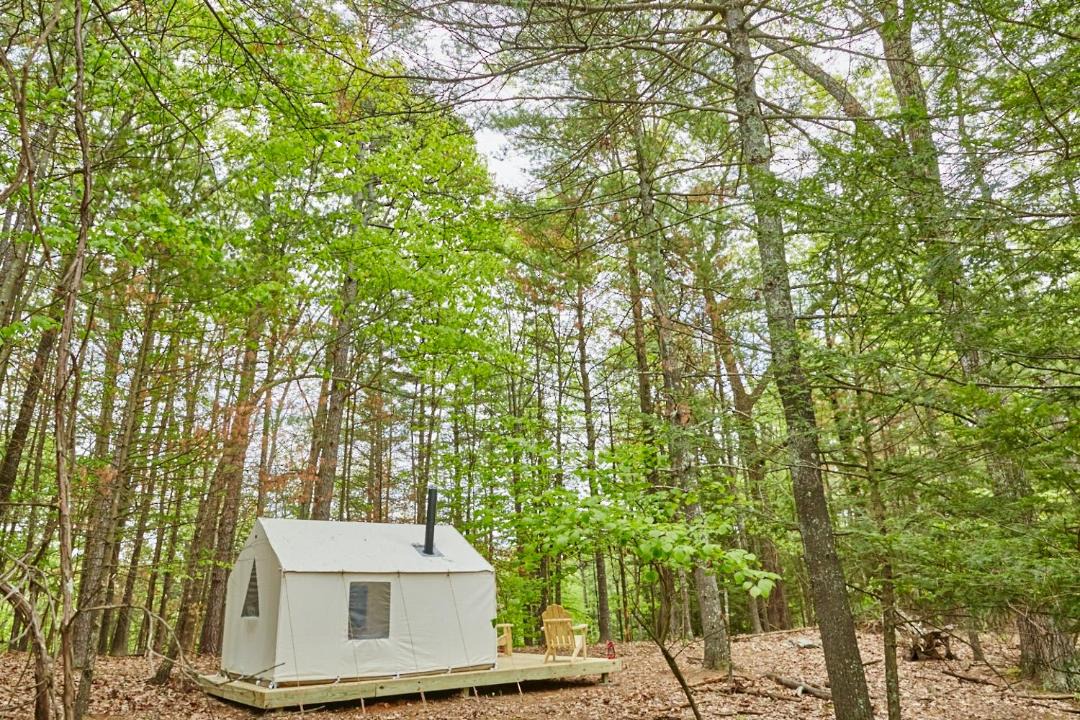 Photo of Others in New Paltz