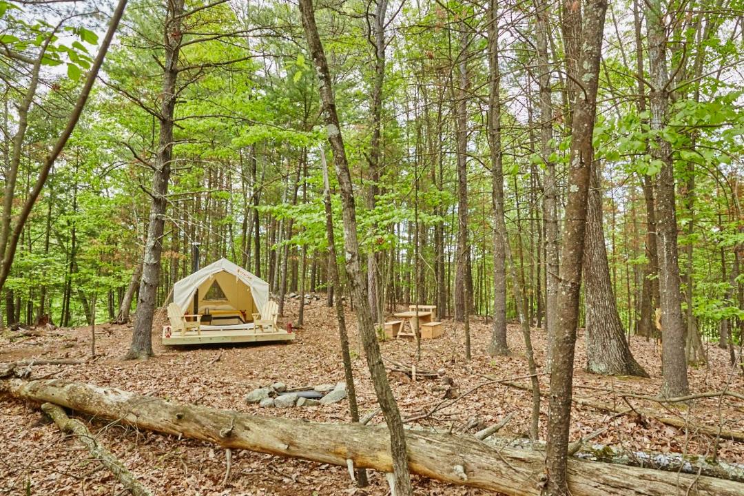 Photo of Others in New Paltz