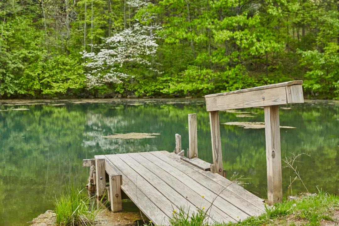 Photo of Others in New Paltz