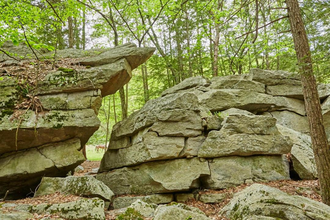 Photo of Others in New Paltz