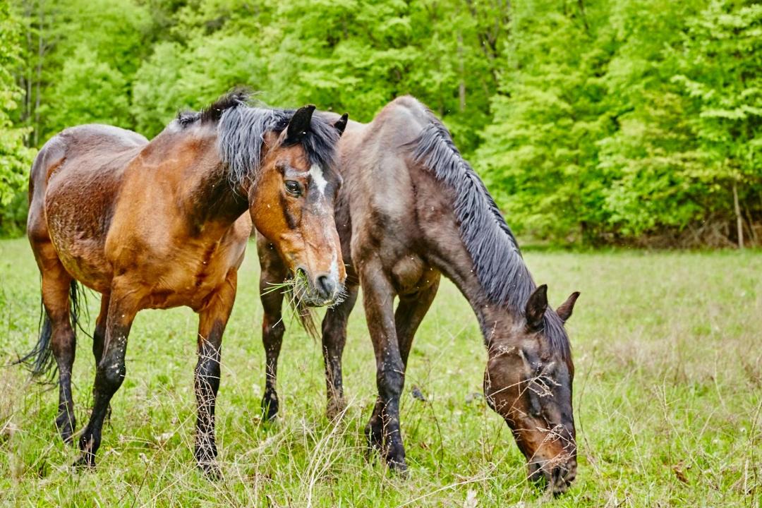 Photo of Others in New Paltz