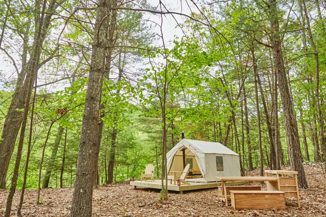 Photo of Others in New Paltz