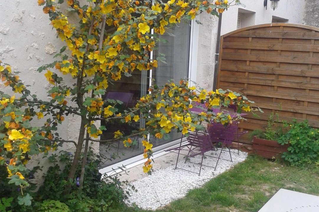 Photo of Others in Saint-Hilaire-Saint-Mesmin