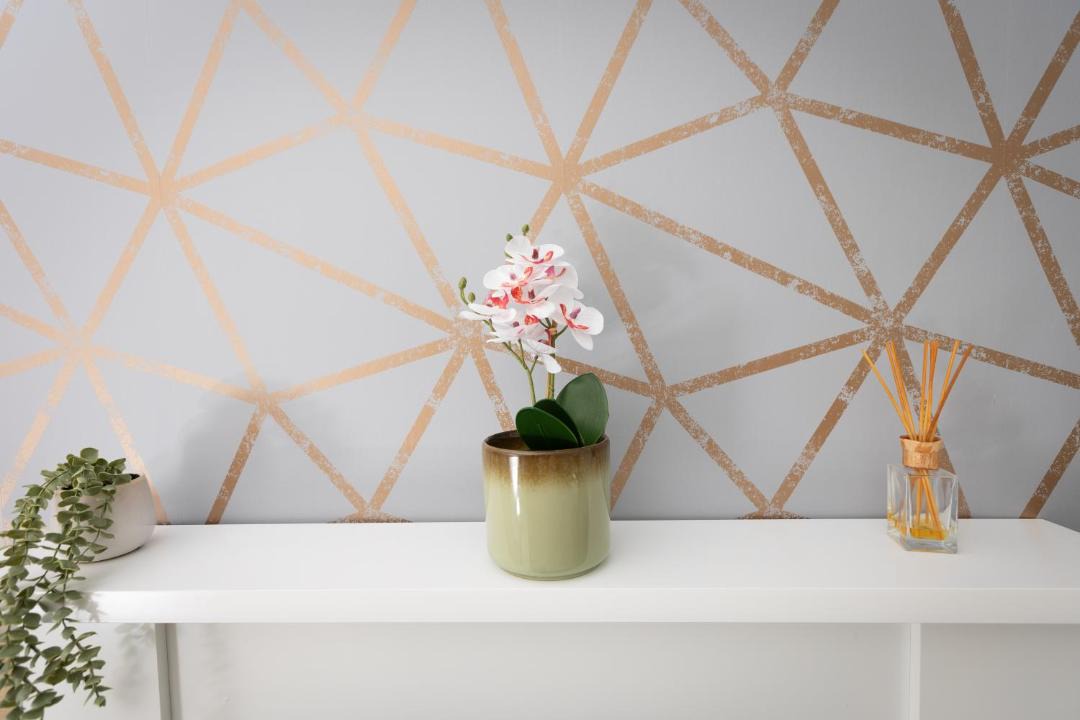 Photo of Others in Blackpool