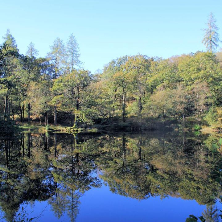 Photo of Outdoor in Hawkshead