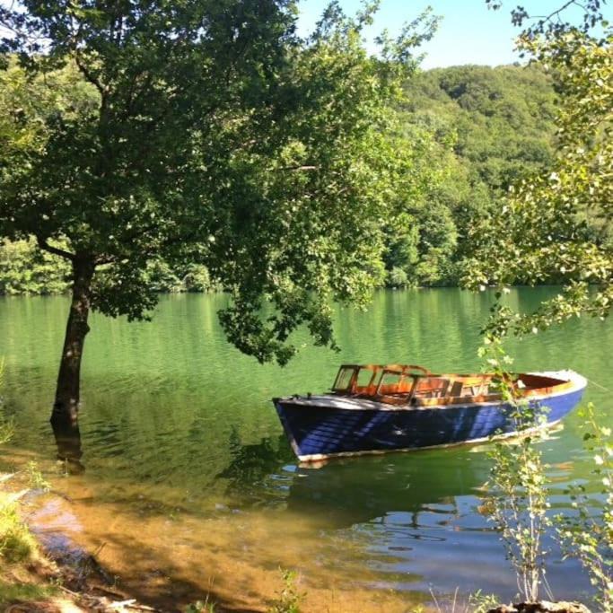 Photo of Others in Castelnau-de-Mandailles
